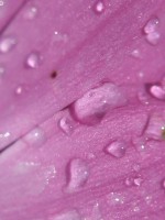 /album/fotogallerij/a2012-08-03-14-44-59-0095-jpg/